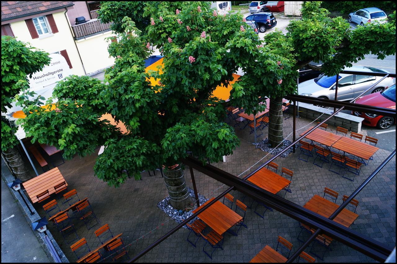 Hotel Gasthof Kastanienbaum